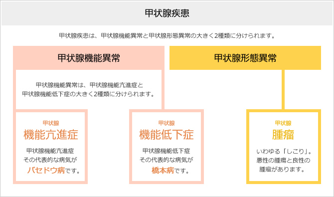 甲状腺疾患