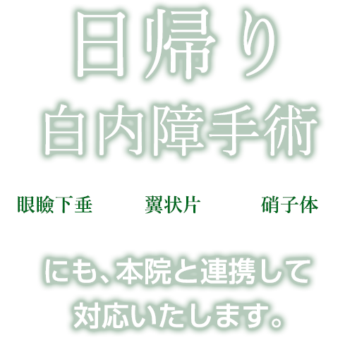 日帰り白内障手術 眼瞼下垂・翼状片・硝子体にも、本院と連携して対応いたします。