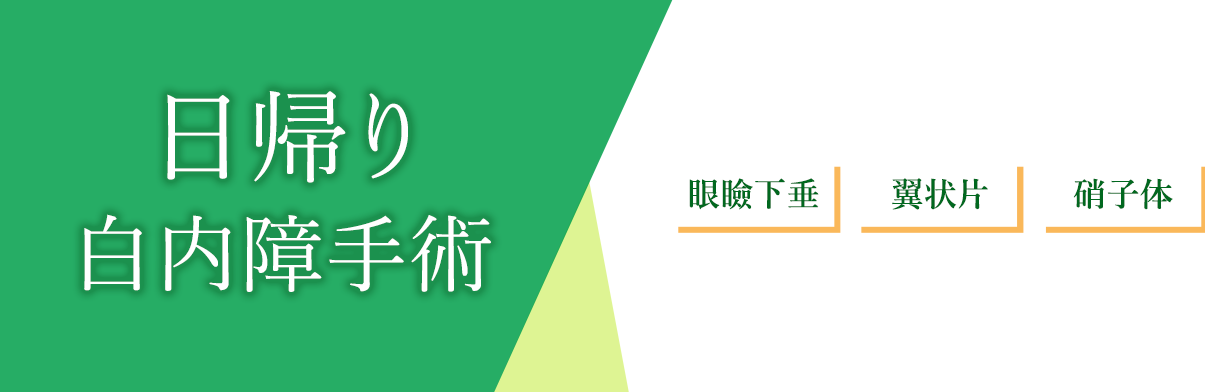 日帰り白内障手術 眼瞼下垂・翼状片・硝子体にも、本院と連携して対応いたします。