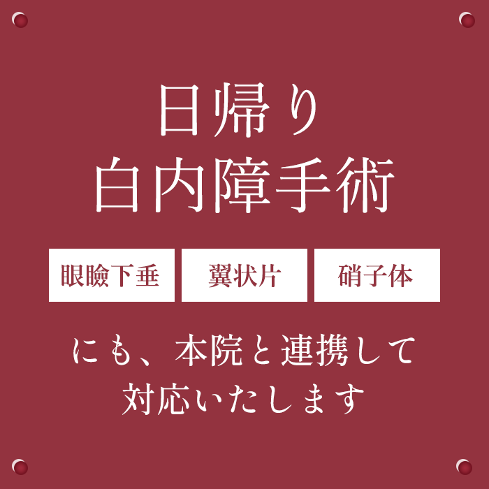 日帰り白内障手術スタート 眼瞼下垂・翼状片・硝子体にも、本院と連携して対応いたします。