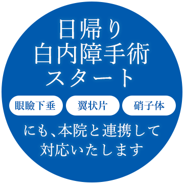 日帰り白内障手術スタート 眼瞼下垂・翼状片・硝子体にも、本院と連携して対応いたします。